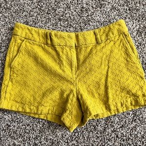 Loft shorts